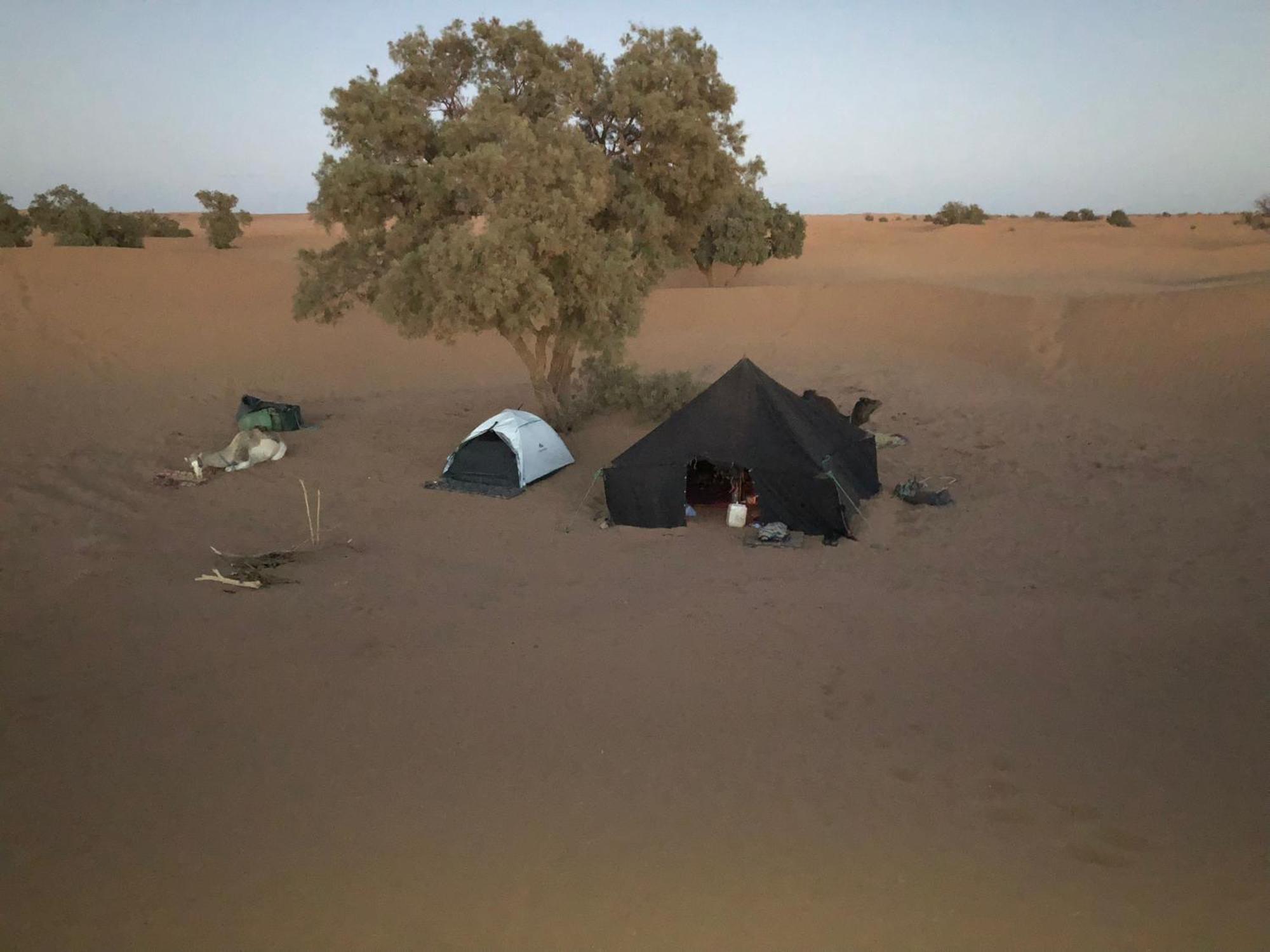 מלון מחמיד Nomads Life Style מראה חיצוני תמונה