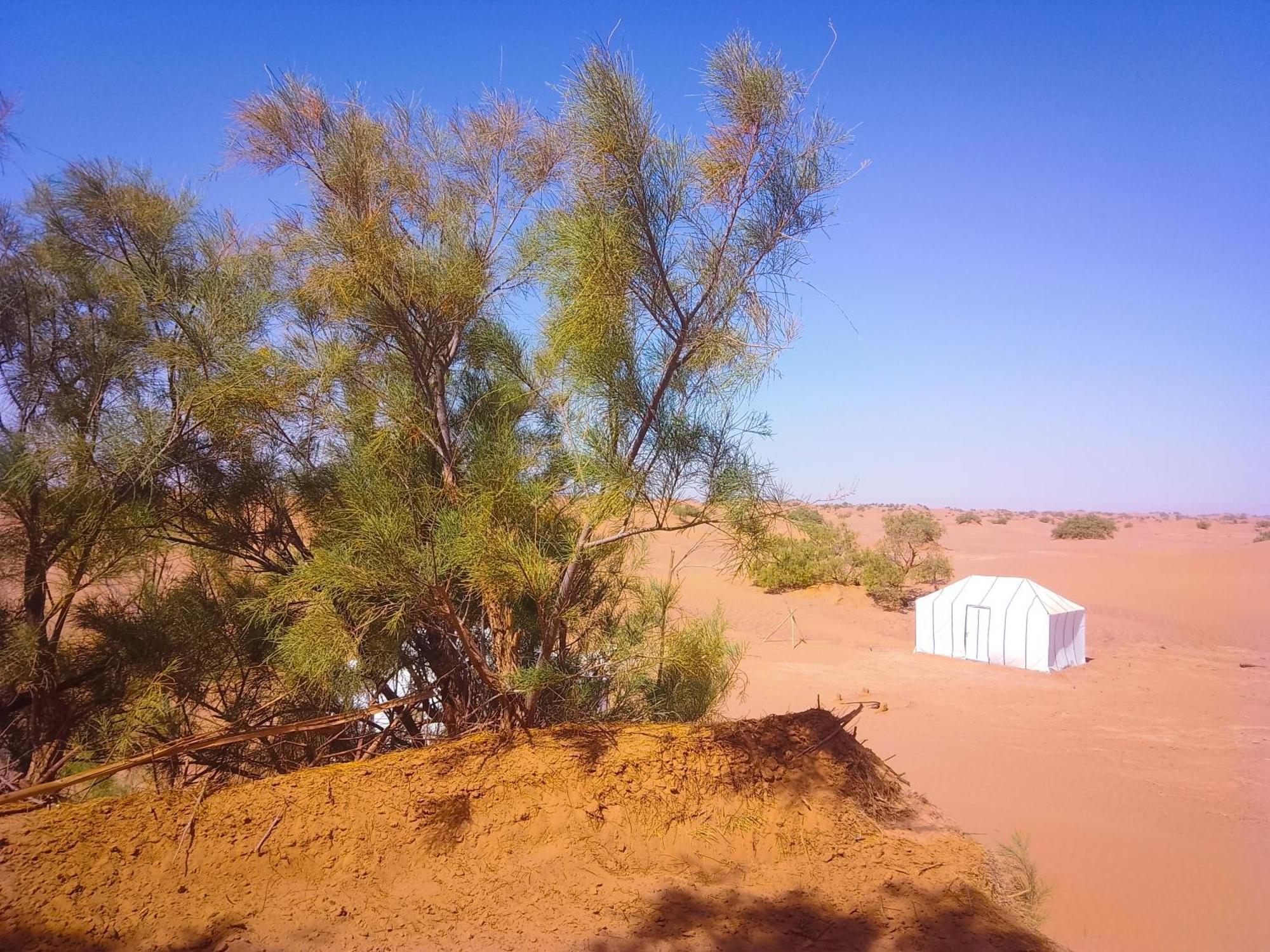 מלון מחמיד Nomads Life Style מראה חיצוני תמונה